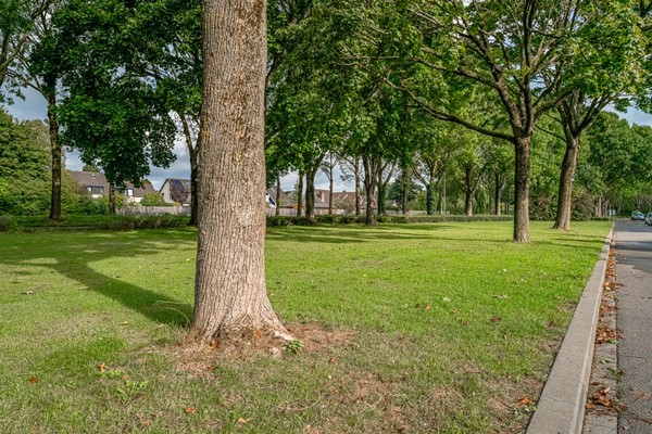 Medium property photo - Debussystraat 4, 6904 HH Zevenaar